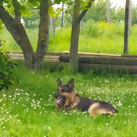 Kosmaj Dan Belgrade, Sopot Belgrad