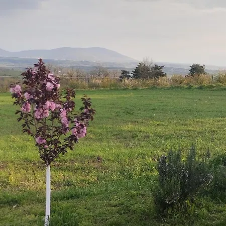 Kosmaj Dan Belgrade, Sopot