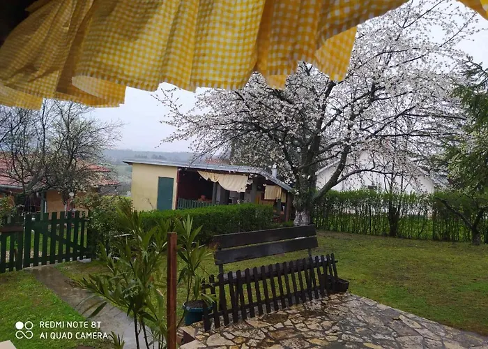 Kosmaj Dan Belgrade, Sopot * Belgrad