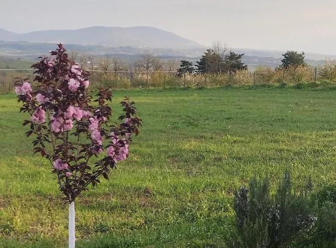 Kosmaj Dan Belgrade, Sopot